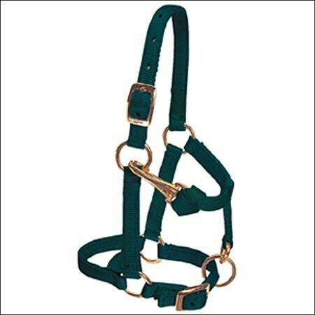 Nylon Mini Halter - Hunter Green