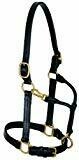 Leather Track Halter - 1" - Horse - Black