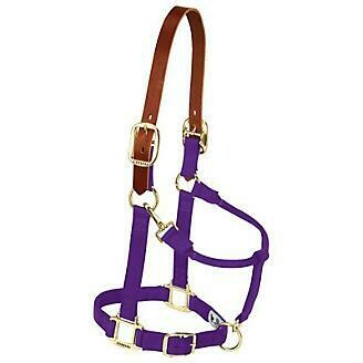 Nylon Breakaway Nylon Halter - Yearling - Purple