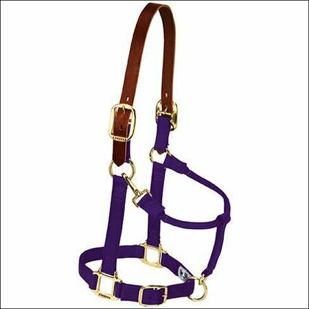 Nylon Breakaway Halter - Yearling - Purple