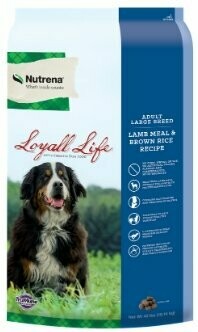 Loyall Life Large Breed Lamb & Brown Rice- 40lbs