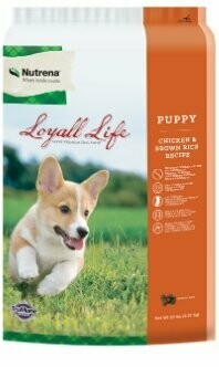 Loyall Life Puppy Chicken & Brown Rice-20lbs