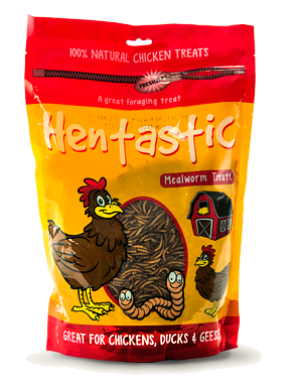 Hentastic Mealworm Treats- 3.5oz