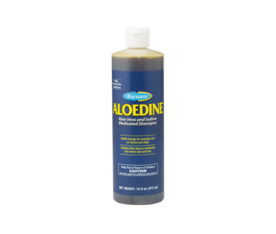 Aloedine Shampoo- 16oz