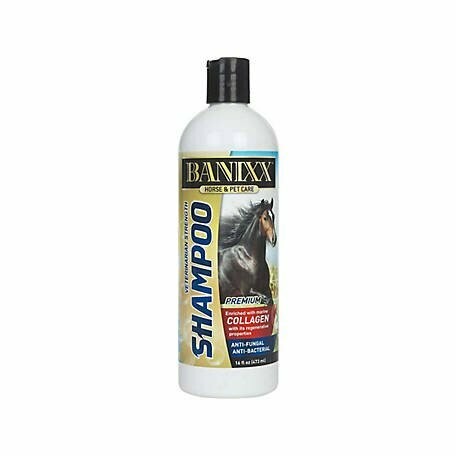 Banixx Medicated Shampoo- 16oz