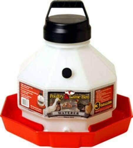 Plastic Poultry Waterer- 3 Gal