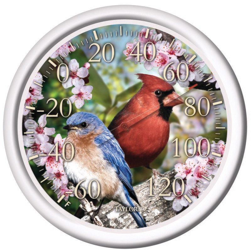 Taylor Thermometer with Cardinals