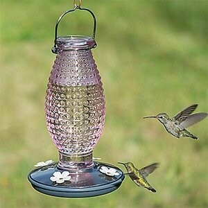 Vintage Hobnail Hummingbird Feeder- Pink