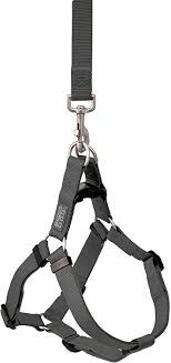 Terrain D.O.G Harness- Large- Assorted Colors