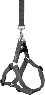 Terrain D.O.G Harness- Medium- Assorted Colors