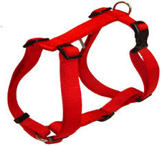 Valhoma Adjustable Dog Harness- XS- Assorted Colors