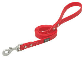 Weaver Terrain D.O.G Brahma Leash- 6'- Assorted Colors