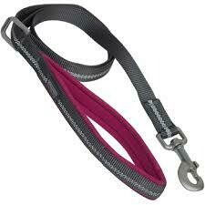 Weaver Terrain D.O.G Reflective Leash- 6' - Assorted Colors