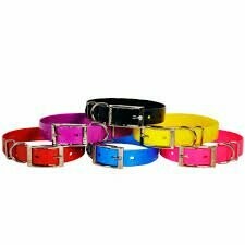 Valhoma Pet Buckle Collar- 20" -Assorted Colors
