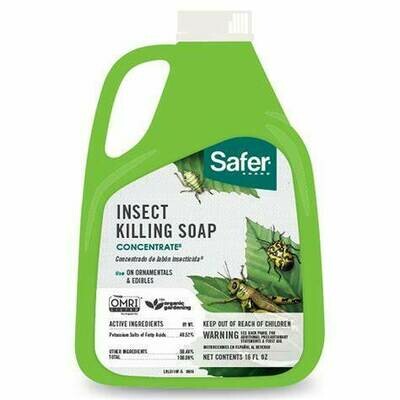 Safer Insect Killing Soap- Concentrate- 16oz
