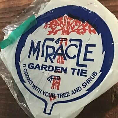 Miracle Garden Tie
