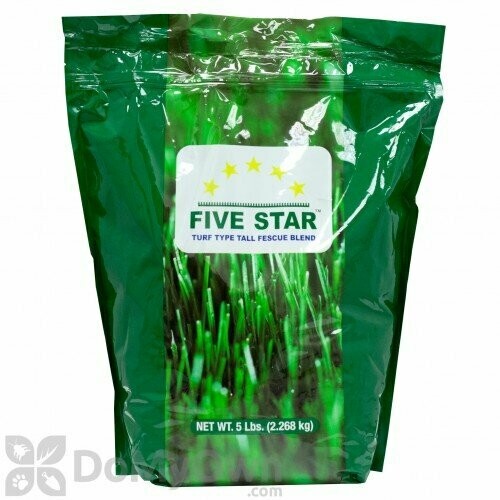 Five Star Fescue Grass Seed- 5lbs