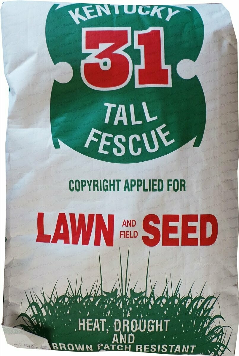 kentucky-31-fescue-grass-seed-25lbs