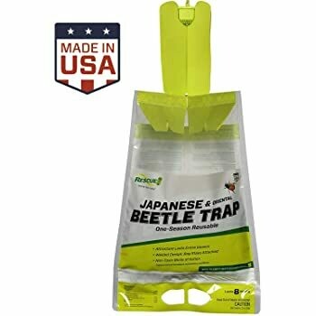 Rescue Japanese Beetle Trap