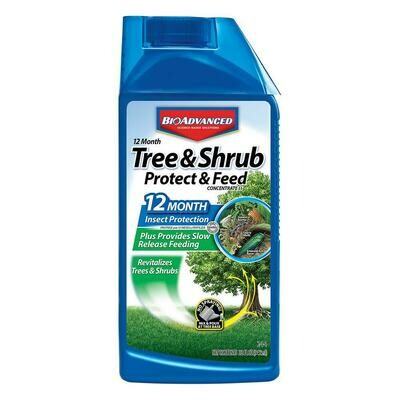 Bayer Tree & Shrub Protect & Feed- 32oz
