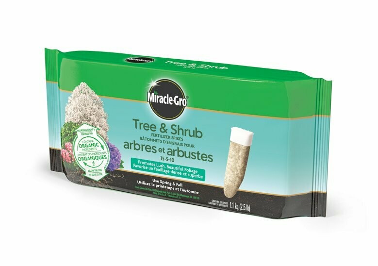 Miracle-Gro Tree & Shrub Food Spikes- 12CT