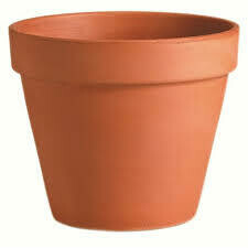 Standard Clay Pot- 12.2"