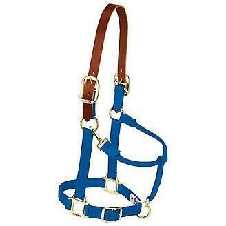 Nylon Breakaway Halter - Average - Navy