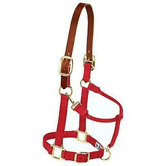 Nylon Breakaway Halter - Average - Burgundy