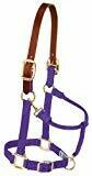 Nylon Breakaway Halter - Weanling - Purple Nylon Breakaway Halter - Weanling - Purple