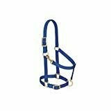 Nylon Breakaway Halter - Small - Navy Nylon Breakaway Halter - Small - Navy