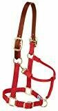 Nylon Breakaway Halter - Large - Red Nylon Breakaway Halter - Large - Red