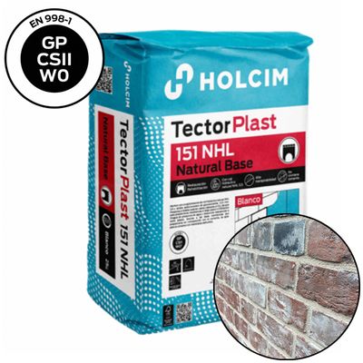 Tector® Lime Mortar (beige)
