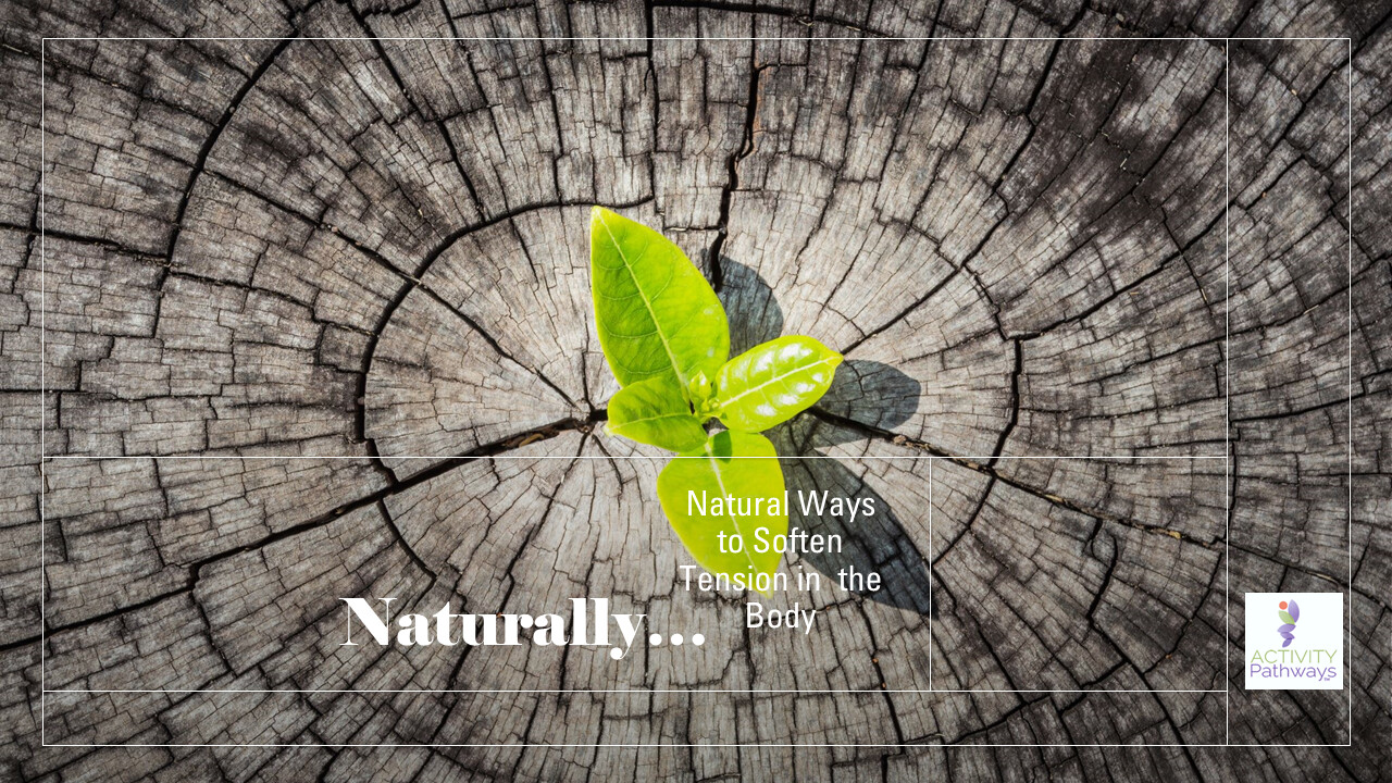 Naturally: 13 Tips to Ease Tension & Stress