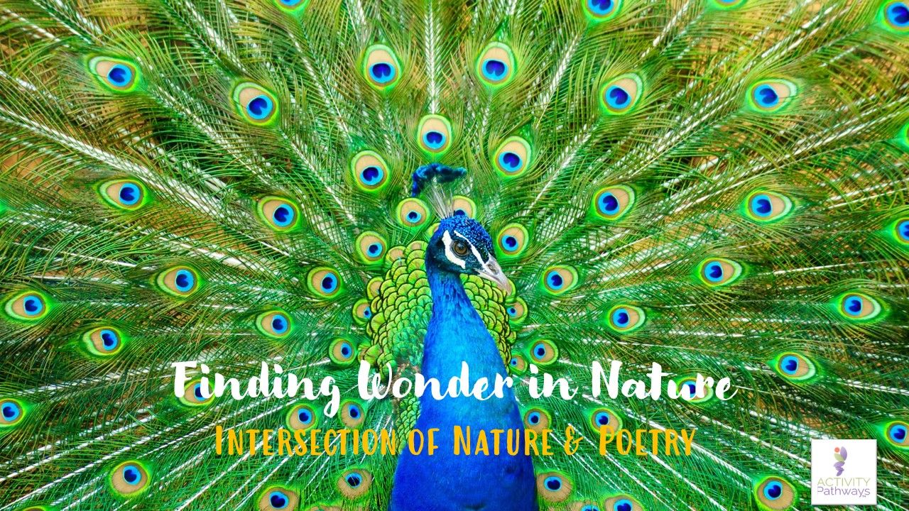 Power Combination: Nature & Poetry