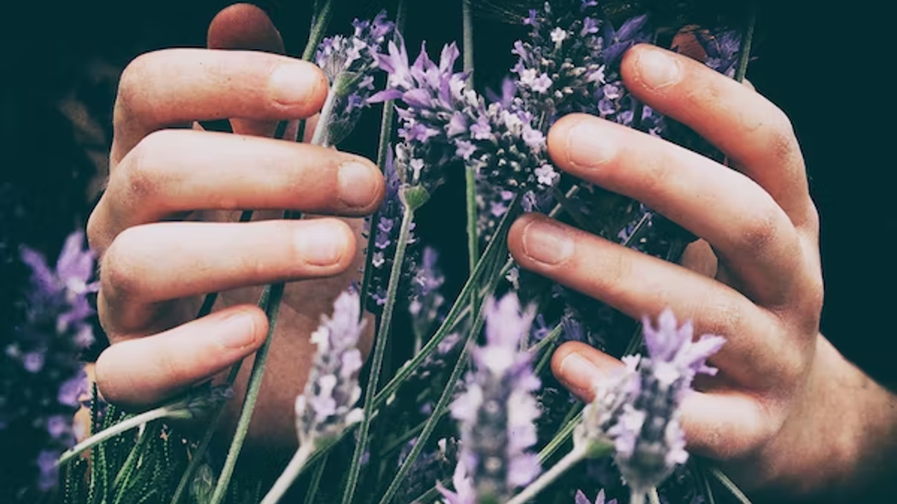 Optimize Your Sensory Toolkit