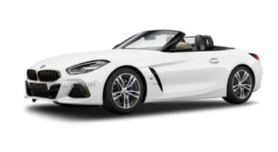 Z4 G29  19-
