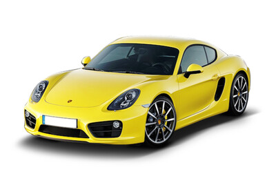 CAYMAN (981)
