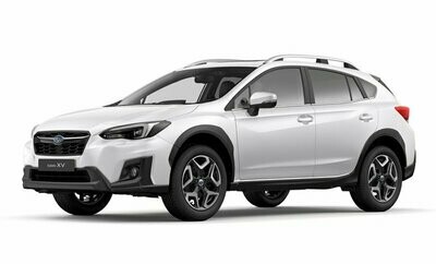 XV