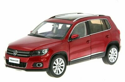 TIGUAN 1