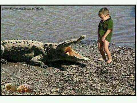 Crocodile farm tour