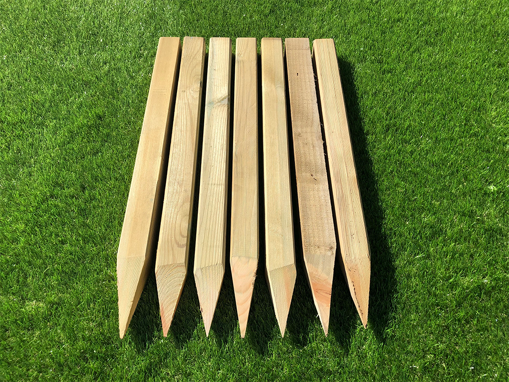 SITE PEGS