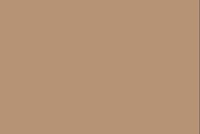 Carta anti unto avana 20x12,5 cm (500 pz)