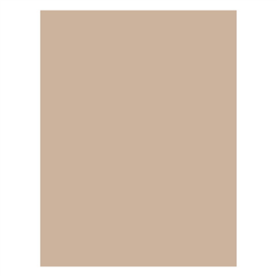 Carta avana antiunto 28x34 cm (1000 pz)