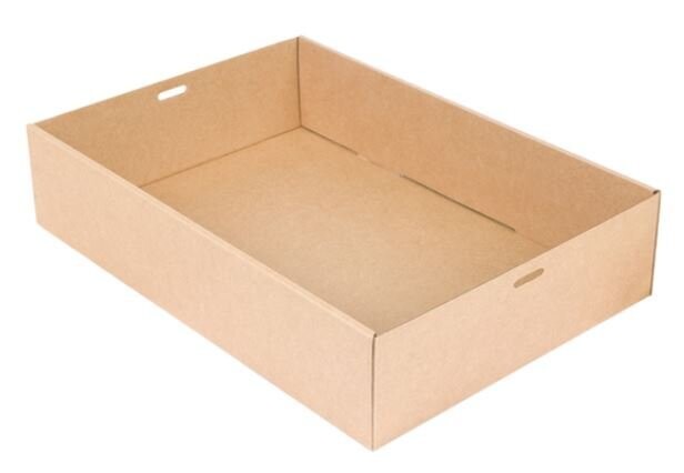 CATERING BOX 36x25 H 8 cm (100 pz) - coperchio abbinabile GP25320 - GP25995