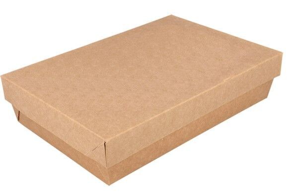 Biobox AVANA con coperchio chiuso 21x14x5 cm (25 pz)