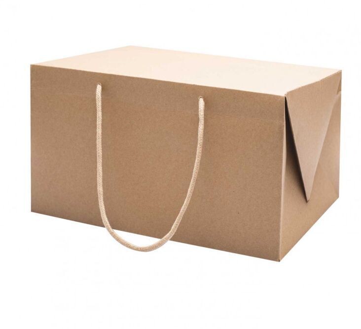 Sacchetto box in CARTA KRAFT con manici in tessuto 30x20 H 17 cm (50 pz)