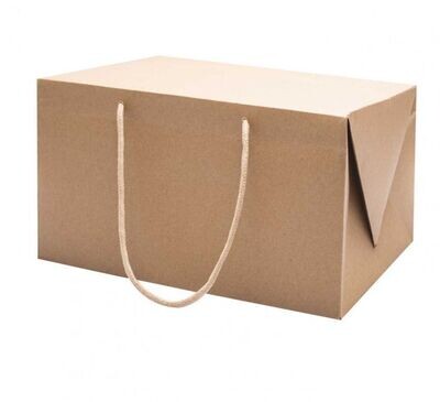 Sacchetto box in CARTA KRAFT con manici in tessuto 30x20 H 17 cm (50 pz)