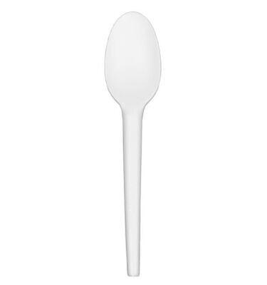 Cucchiaio in CPLA BIANCO L 16,5 cm (50 pz) Cucchiaio in CPLA BIANCO L 16,5 cm (50 pz)