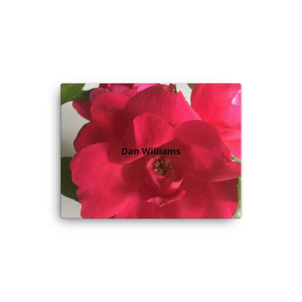 Lovers  Rose Canvas Print