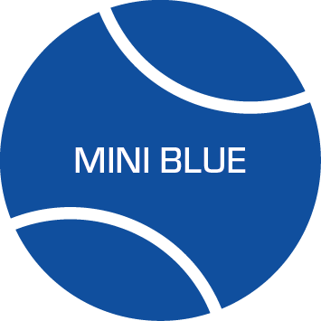 Mini Blue - Summer Term
